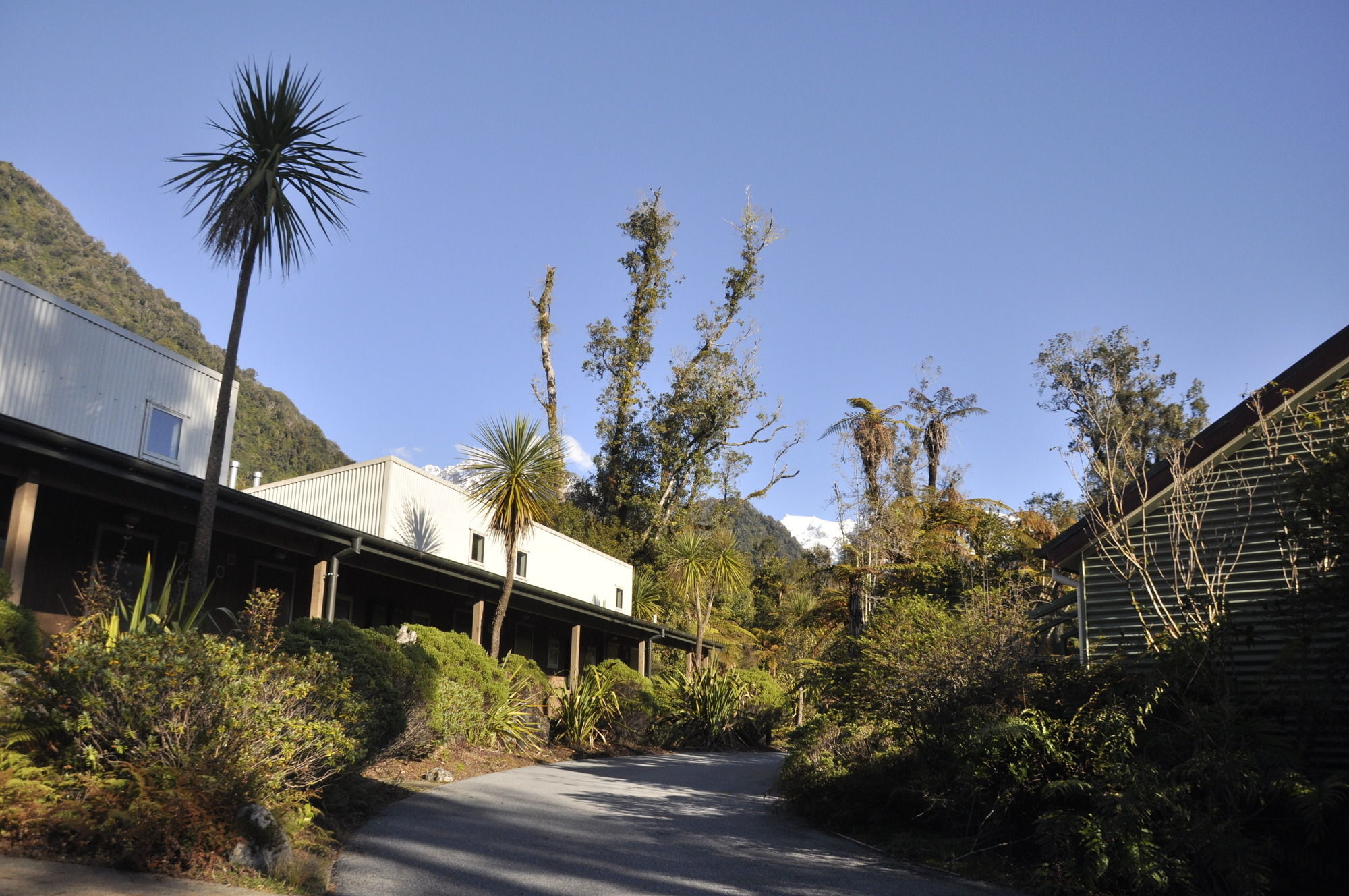 Punga Grove Motell Franz Josef Exteriör bild